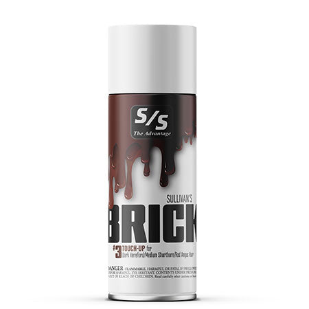 Brick Touch Up image 0