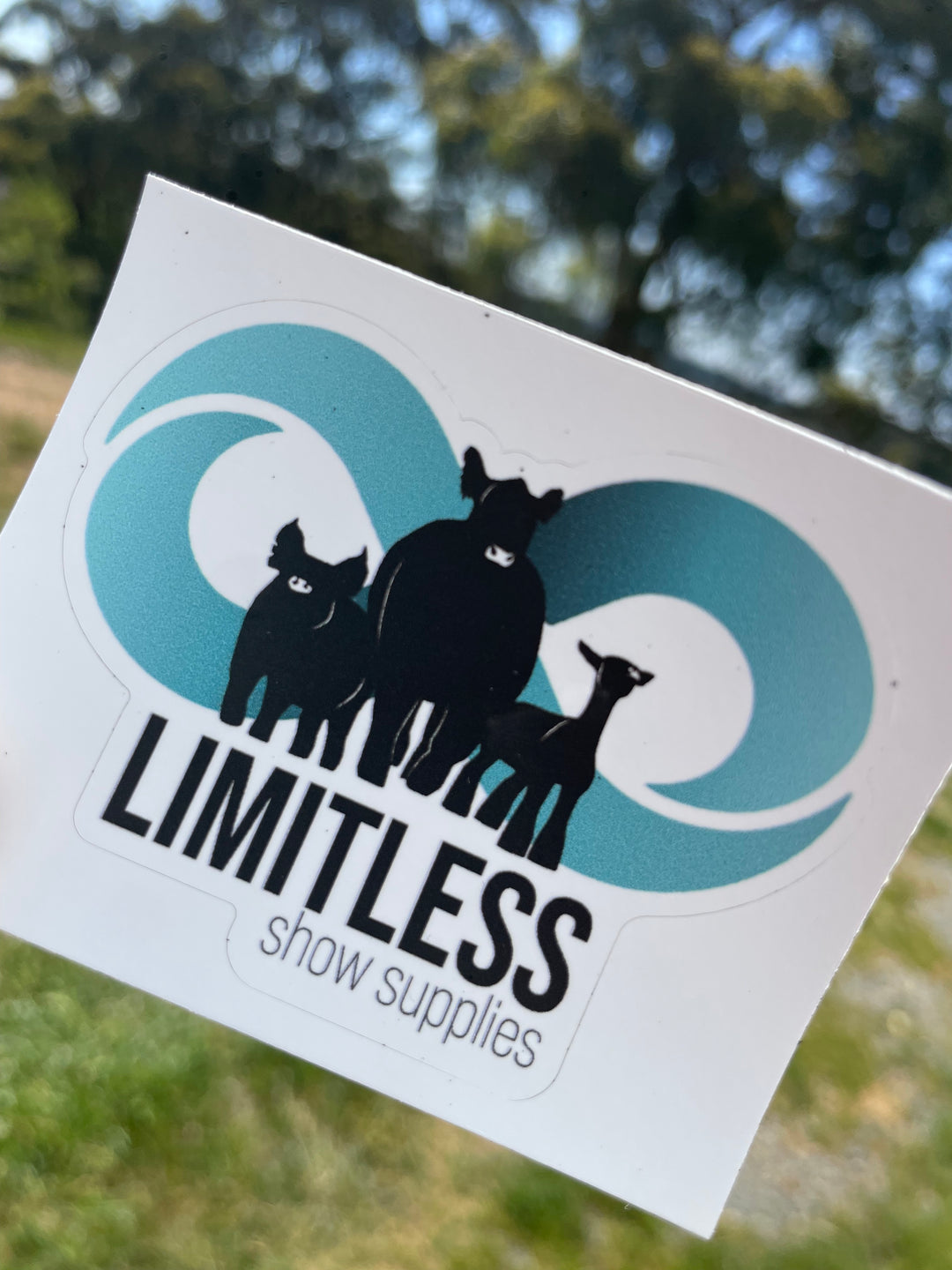 Limitless Show Supplies Sticker image 0