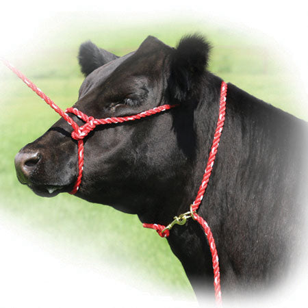 Sullivan's Neck Tie image 0