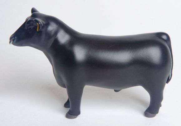 Little Buster Angus Show Bull w/ Nose Ring image 2