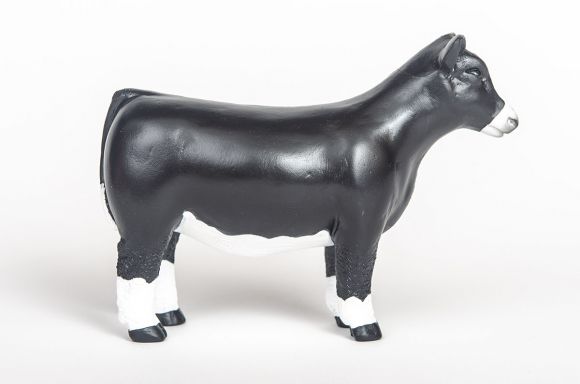 Little Buster Simmental Show Steer/Heifer image 0
