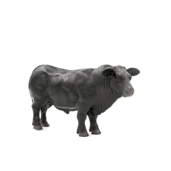 Little Buster Angus Bull image 1