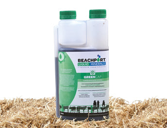 Beachport Liquid Minerals - Green Cap image 0