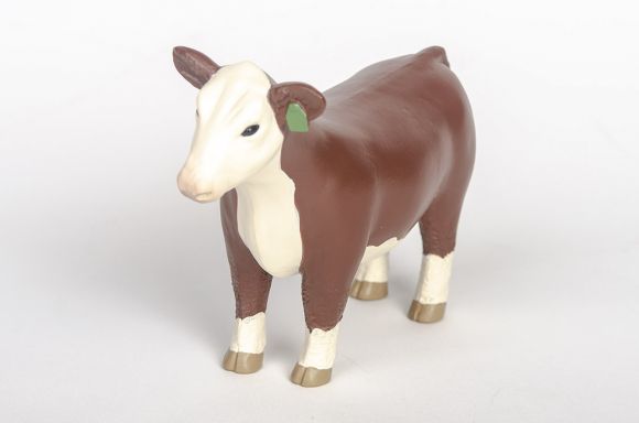 Little Buster Hereford Show Steer/Heifer image 2