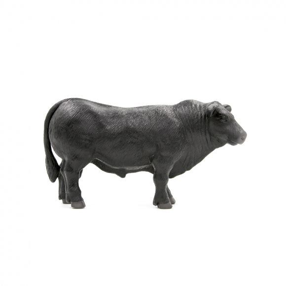 Little Buster Angus Bull image 0