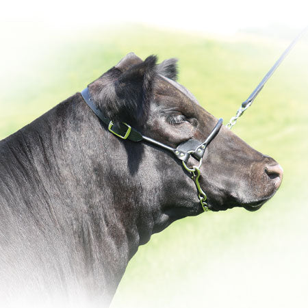 Sullivan's Classic Rolled Nose Leather Halter image 0