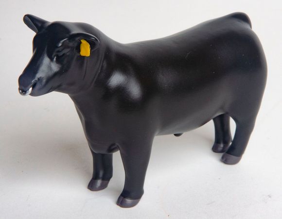 Little Buster Angus Show Bull w/ Nose Ring image 0