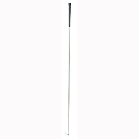 Sullivan's 68" XL Show Stick Silver image 0