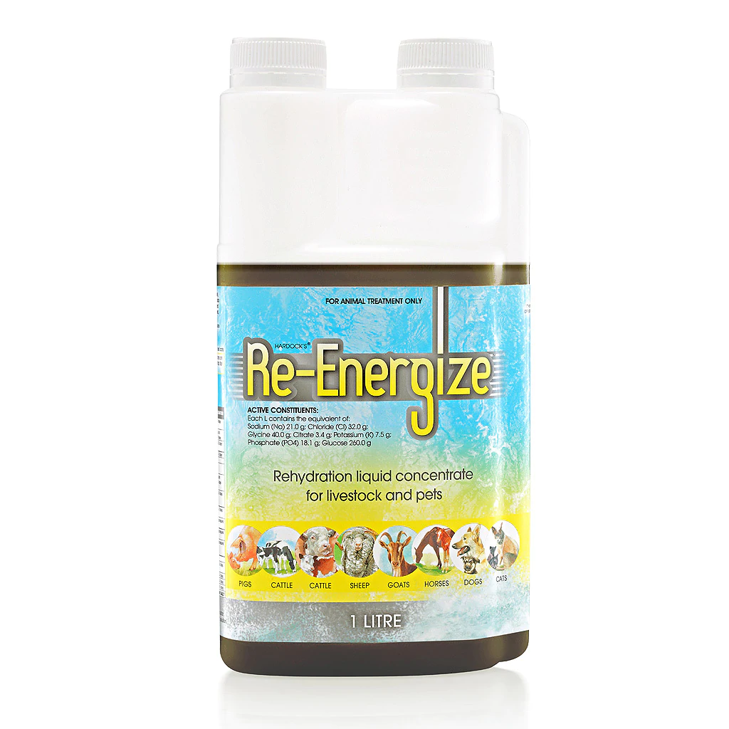 Re-Energize™ image 0