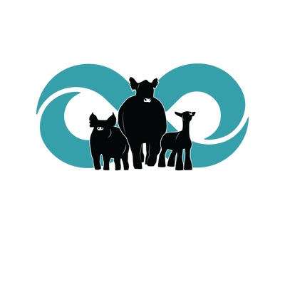 Limitless Show Supplies