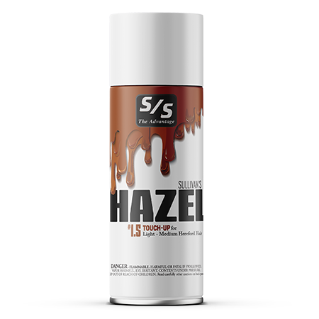 Hazel Touch Up image 0