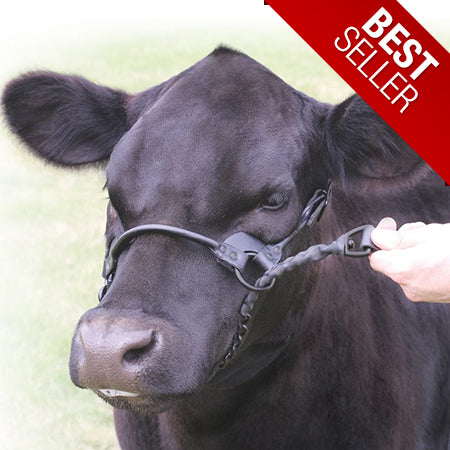 Sullivan's 1st Class Leather Show Halter image 1