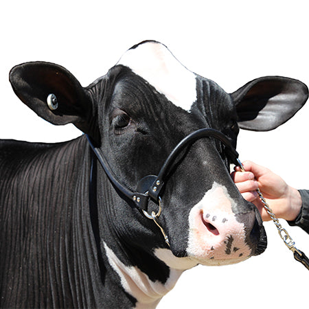 Sullivan's Leather Streamline Show Halter image 0