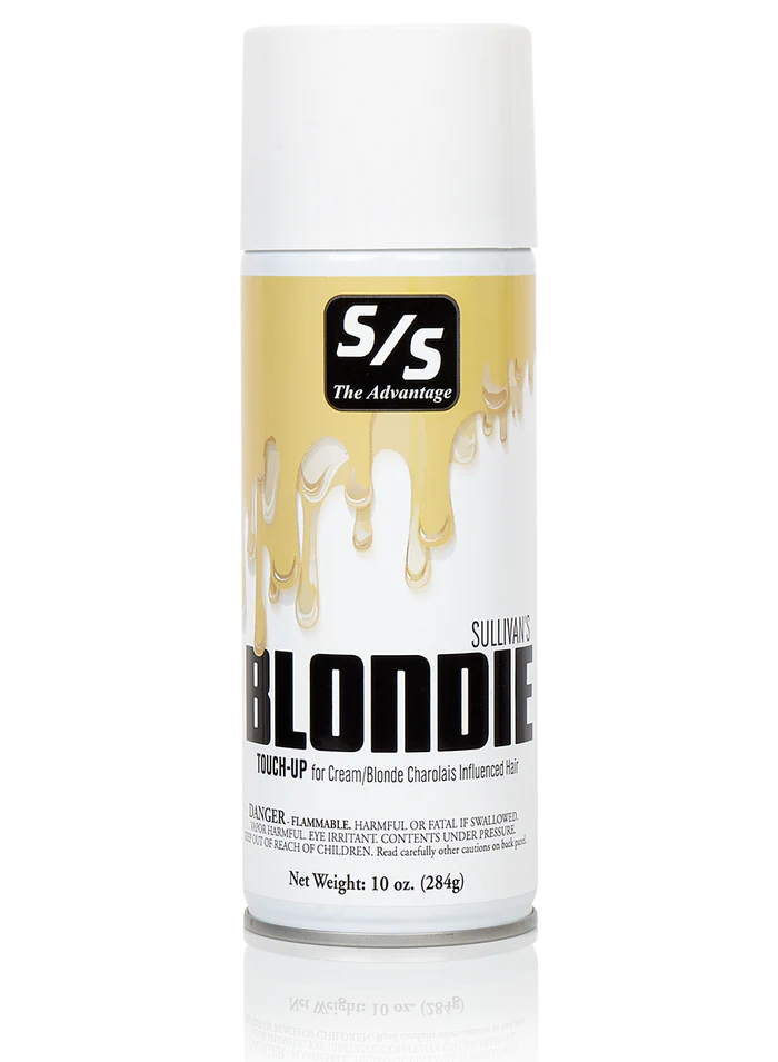 Blondie Touch Up image 0