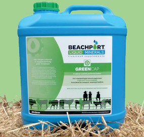 Beachport Liquid Minerals - Green Cap image 1